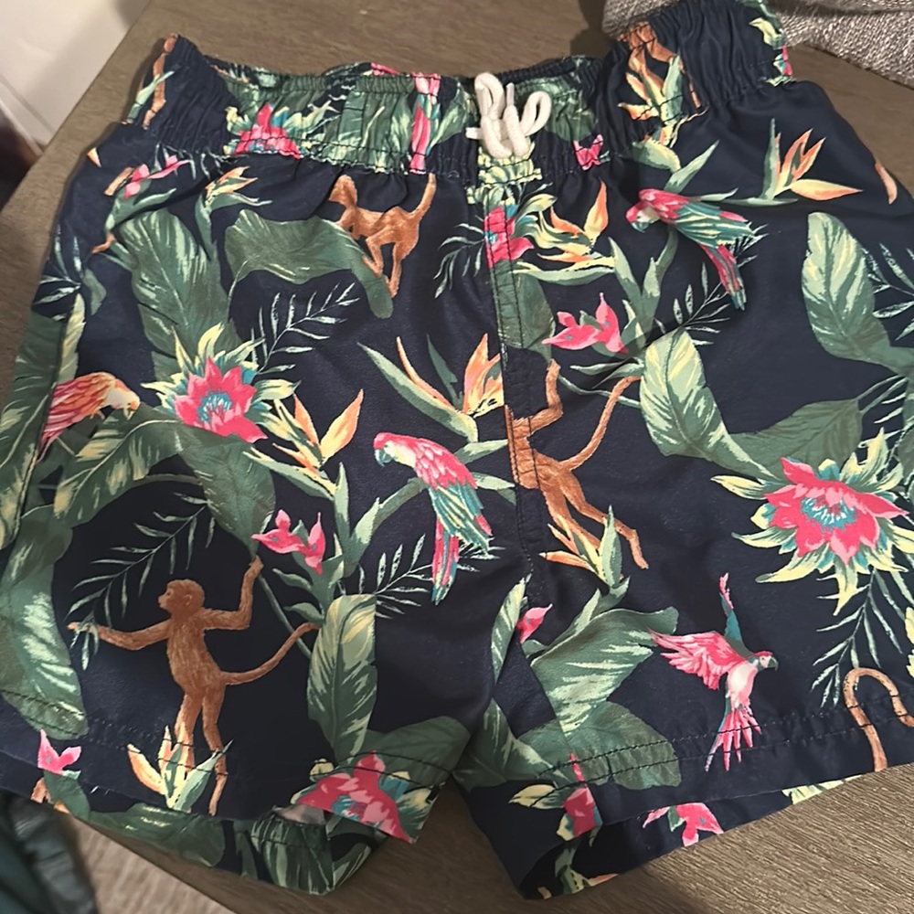 Janie and Jack Boys Swimsuit